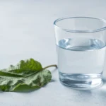 A clear glass of water next to a small potted plant on a plain kitchen counter, soft daylight, no text, no numbers, no real person's hands or face