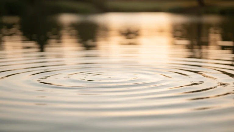 Circular ripples spreading across a calm pond in evening light
